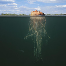 De-loused in the Comatorium