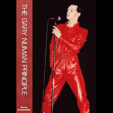The Gary Numan Principle