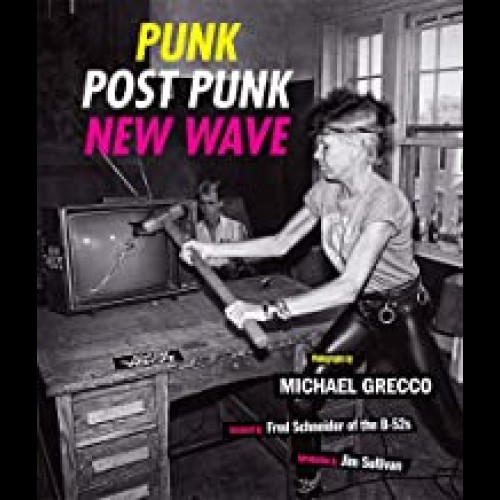 Punk, Post Punk, New Wave : Onstage, Backstage, In Your Face, 1978-1991